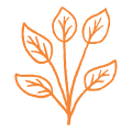 Our Nature Education